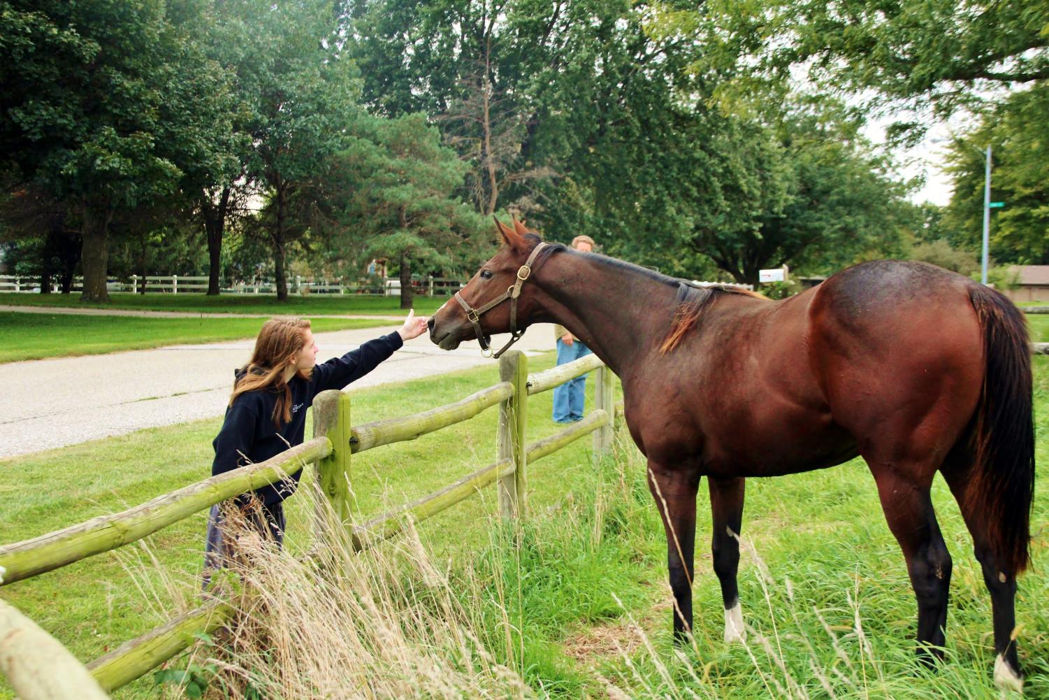 Getting acquainted: Peterson pats her filly on the nose. These two have formed a spunky bond as they work together. (Photo Courtesy of Sharon Dixon)