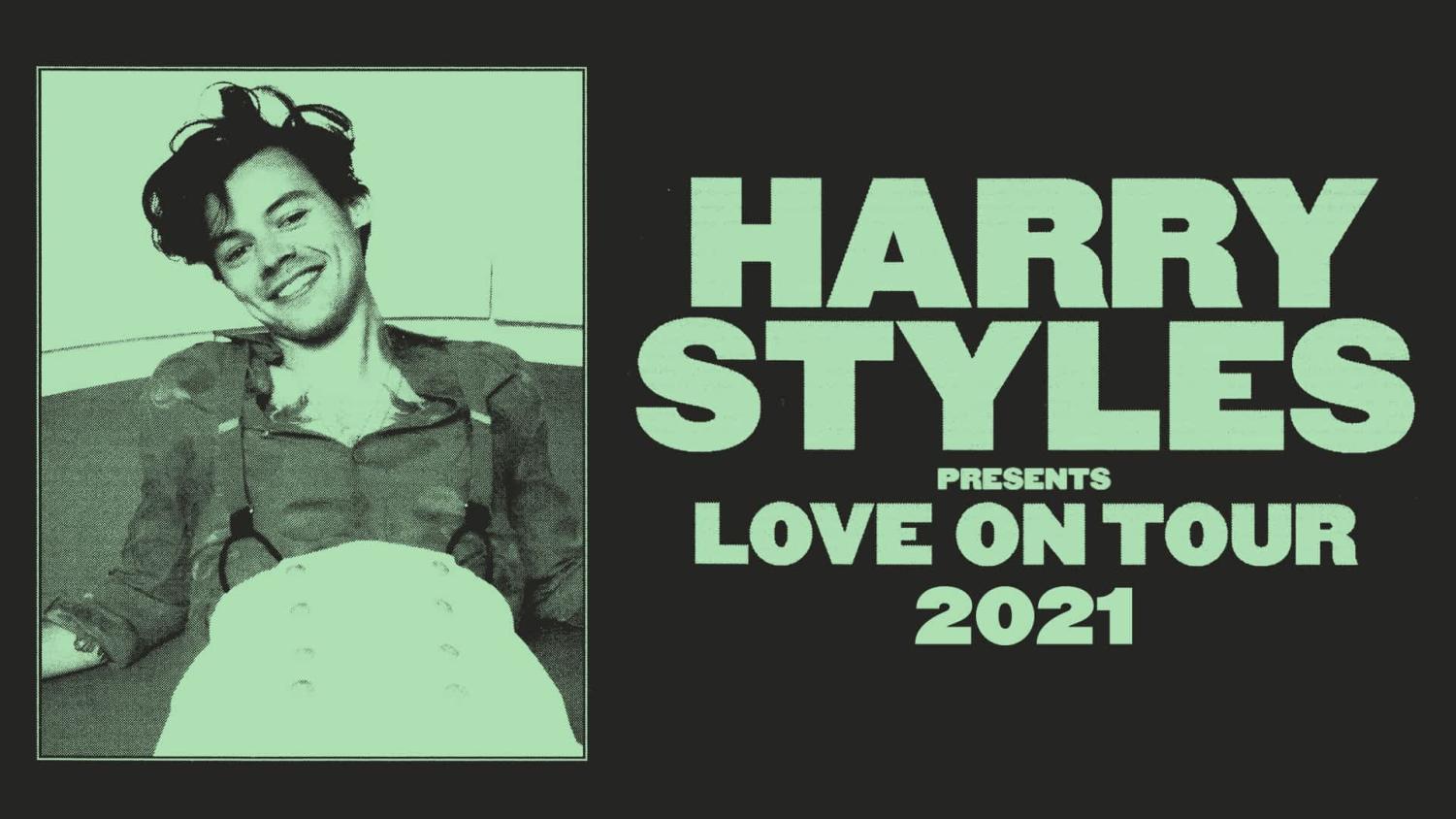 HARRY STYLES LOVE ON TOUR  Harry styles clothes, Harry styles