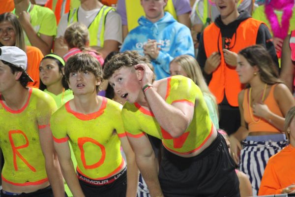 Moments from Neon Night